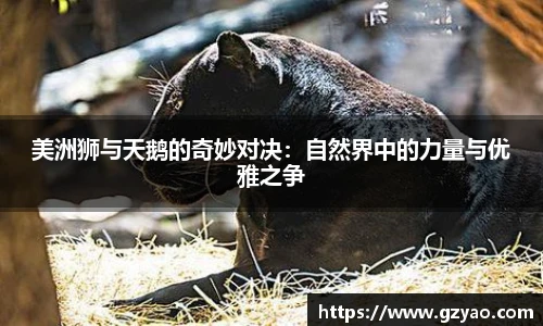 xk星空网站