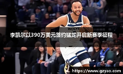 星空入口免费网站