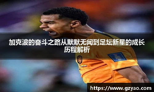 xk星空网站