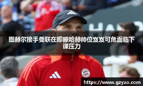 星空入口免费网站
